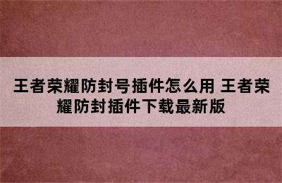 王者荣耀防封号插件怎么用 王者荣耀防封插件下载最新版